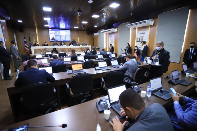 Vereadores solicitam limpeza e capina para bairros de São Luís