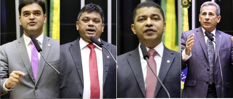 Rubens e Márcio Jerry votam mais alinhados com Bolsonaro que Bira e Zé Carlos