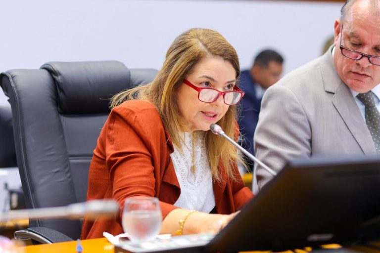 Presidente Iracema Vale destaca alta produtividade da Assembleia Legislativa em 2023