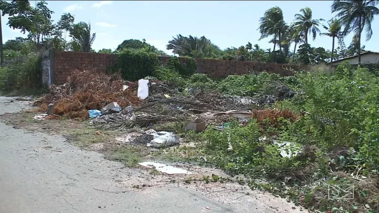 Vereadora cobra prefeitura por aplicação da lei de Muros e Calçadas