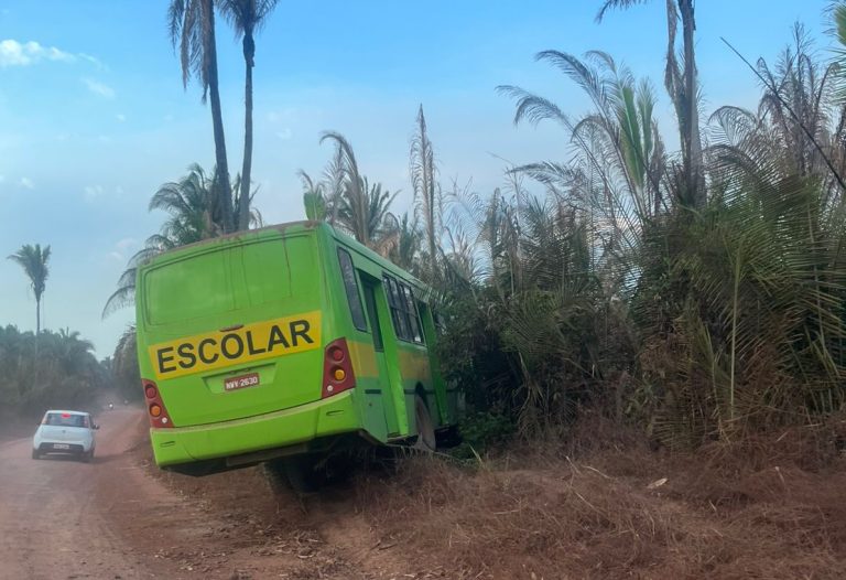 Ônibus escolar quebra barra de direção e invade matagal